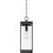 Quoizel Westover 1-Light Earth Black Outdoor Hanging Lantern WVR1907EK - alternate 2